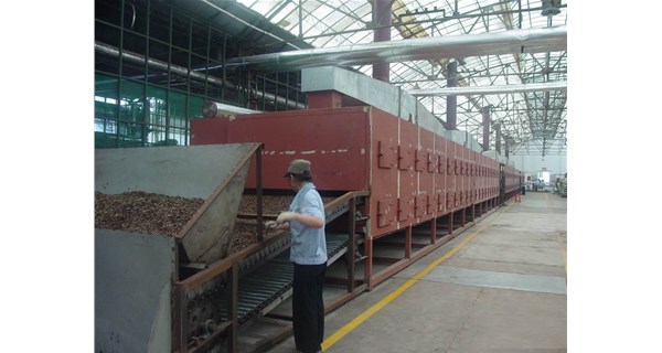 如何根據(jù)需求選擇合適的網(wǎng)帶烘干機(jī)功率？