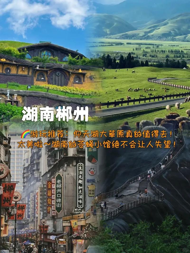 香港澳门 第55页