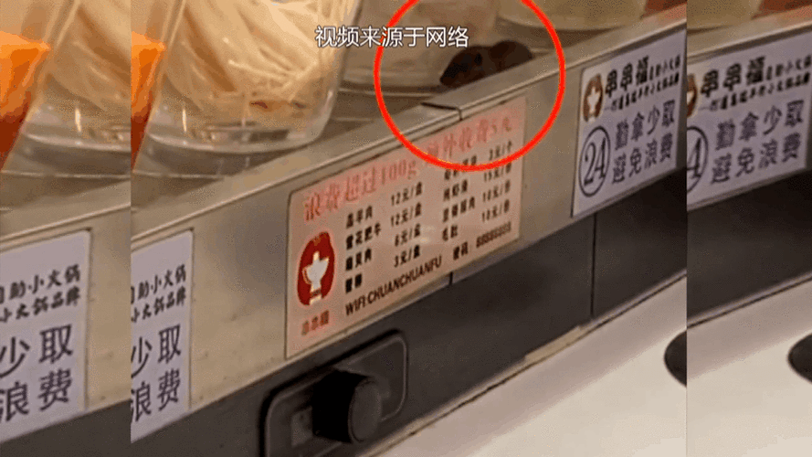 火锅店内老鼠随桌转;火锅店内老鼠随桌转圈怎么办