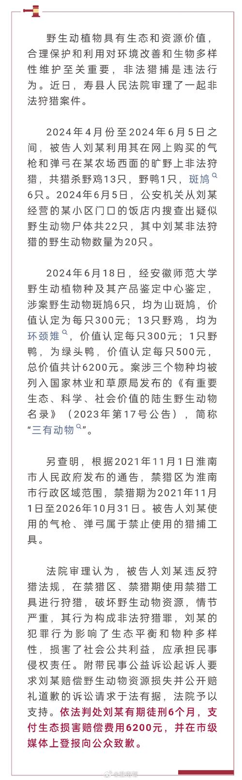 宰杀三只鸟被罚22万