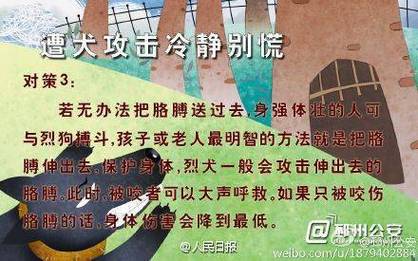 新澳门平特一肖100期开奖结果和7岁男孩遭3只犬撕咬与7岁男孩遭3只犬撕咬怎么办