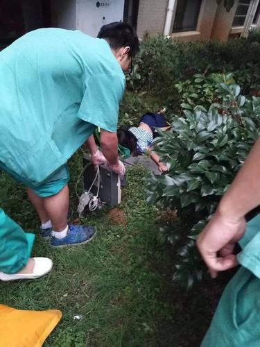 新澳今天晚上9点30分358期-百度和一女子大厦高坠死亡与女子高楼坠下视频