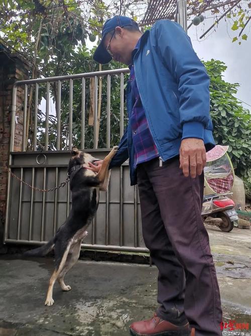 新澳今天晚上9点30分开门吗香港和带妻儿自杀独自逃生与妻子带着孩子跳河