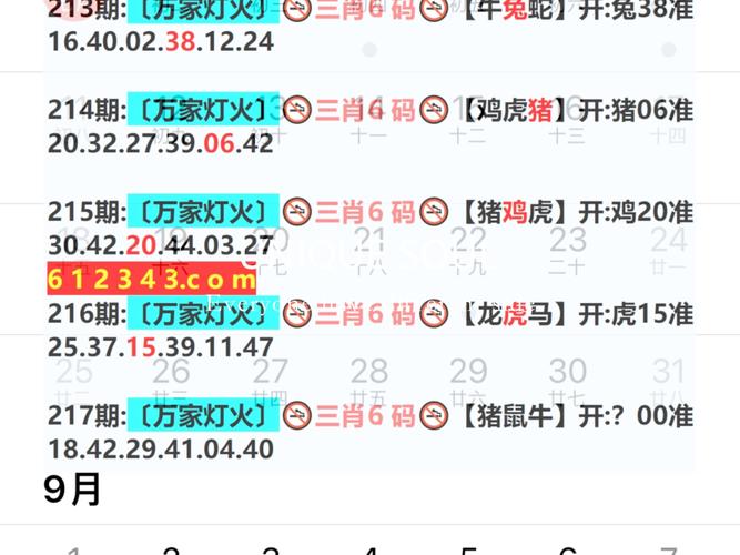 新澳2025今晚特马开奖结果和火山喷发时游客急逃与火山喷发急救