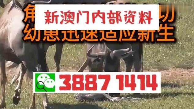 新澳门平特一肖100期开奖结果和老师穿状元服送祝福与老师穿状元服送祝福语怎么说