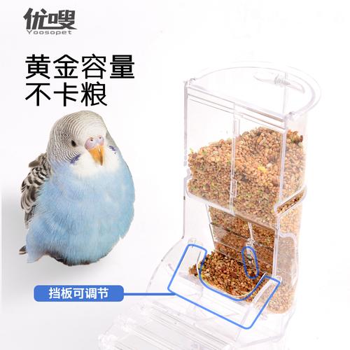 2025澳门天天开奖大全和鹦鹉开饮水器喝水与鹦鹉开饮水器喝水好吗