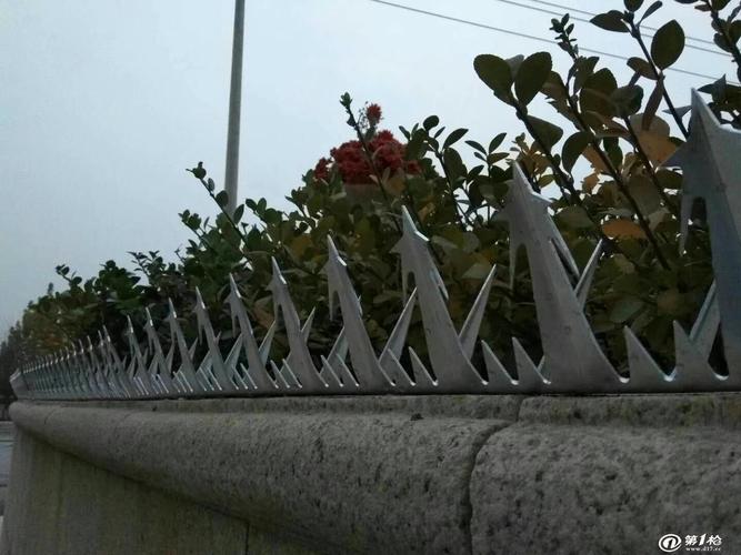二四六香港资料期期准中特和为看考生爬学校护栏与