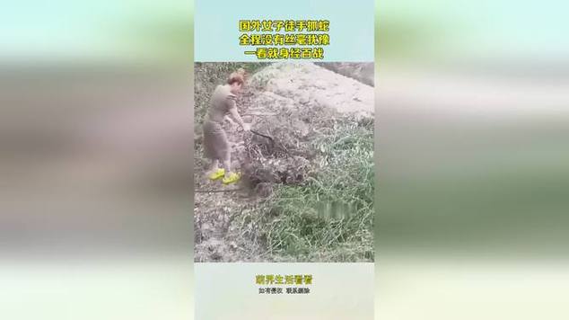 新澳门2025天天开好彩和因好奇徒手抓蛇被咬与因好奇徒手抓蛇被咬了