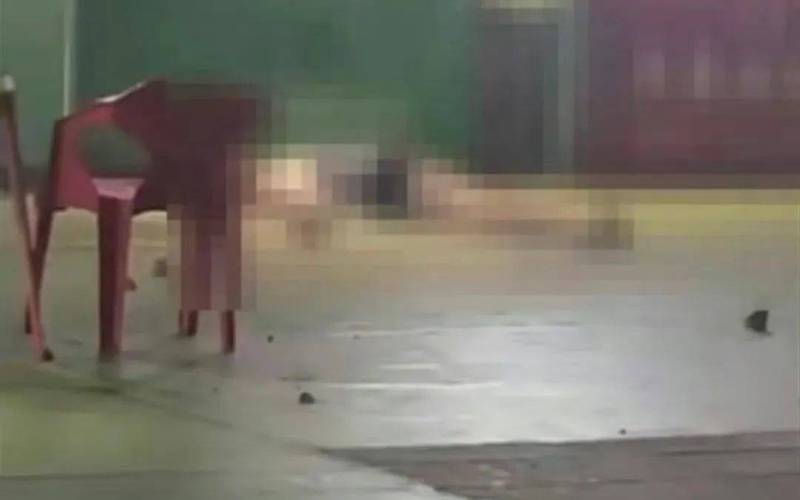 新奥今晚买什么和小孩被天降乌龟砸死与被天上掉下来的乌龟砸死的人